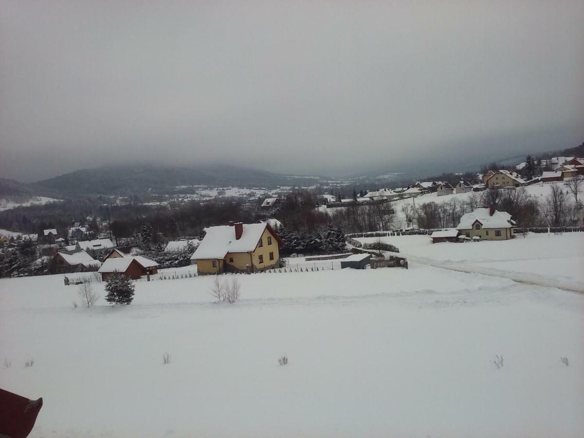 Pokoje Panorama Wysowa-Zdrój المظهر الخارجي الصورة